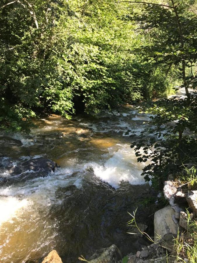 Cabana Popasul Muntilor-Rau Sadului Villa Exteriör bild