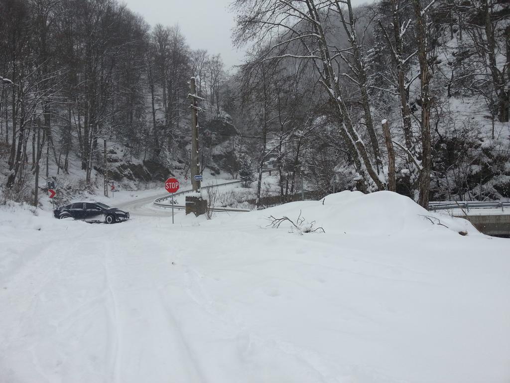 Cabana Popasul Muntilor-Rau Sadului Villa Exteriör bild